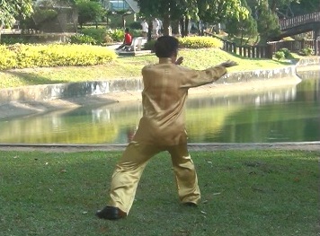 Baguazhang Swimming Dragon Set