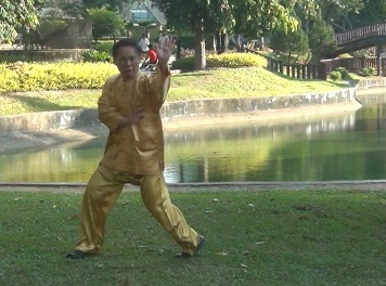 Baguazhang Swimming Dragon Set