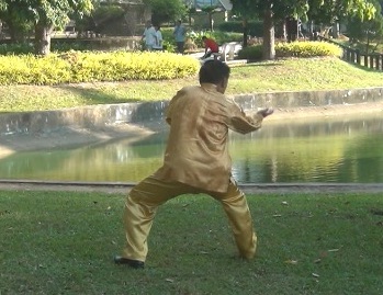 Baguazhang Swimming Dragon Set