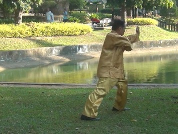 Baguazhang Swimming Dragon Set