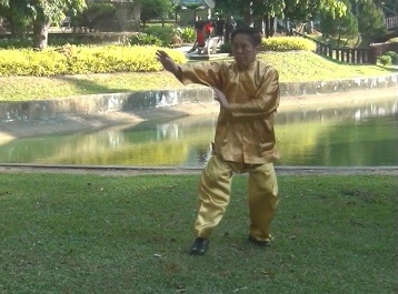 Baguazhang Swimming Dragon Set