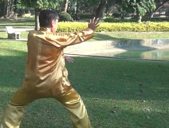 Baguazhang Swimming Dragon Set