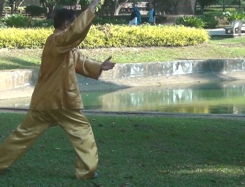 Baguazhang Swimming Dragon Set