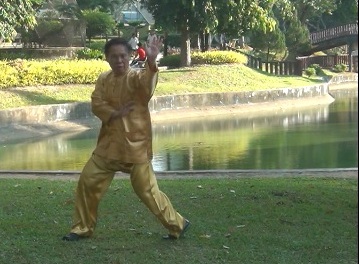 Baguazhang, Pakua Chang