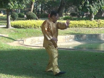 Baguazhang Swimming Dragon Set