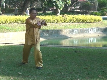 Baguazhang Swimming Dragon Set