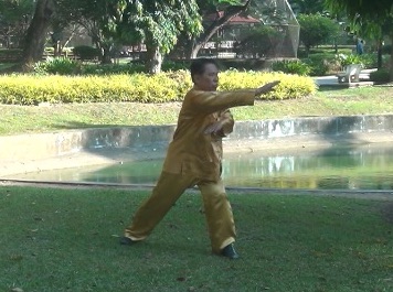 Baguazhang Swimming Dragon Set