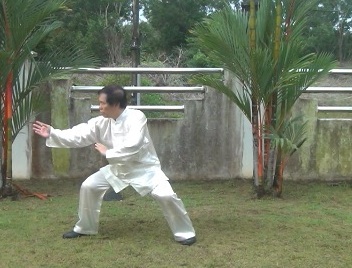 Baguazhang, Pakua Chang