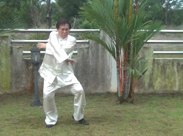 Baguazhang, Pakua Chang