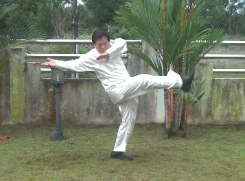 Baguazhang, Pakua Chang