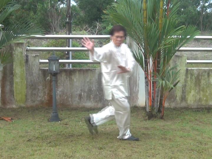 Baguazhang, Pakua Chang