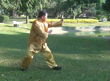 swimming dragon baguazhang set