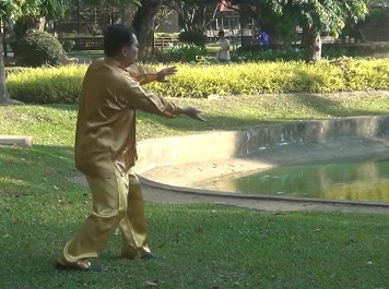 Swimming Dragon Baguazhang Set