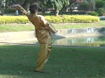 Baguazhang, Pakua chang