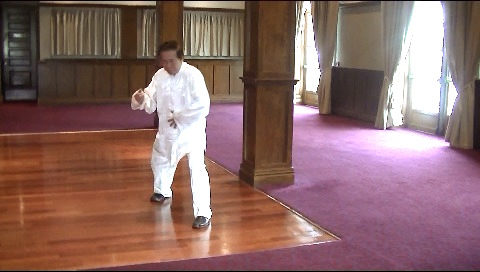 Flowing Water Floating Clouds, Tai Chi Chuan, Taijiquan