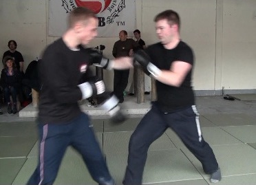 Free Sparring