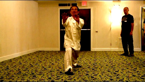 Tai Chi Chuan, Taijiquan