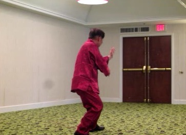 Yang Style Tai Chi Chuan, Taijiquan