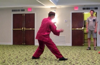 Yang Style Tai Chi Chuan, Taijiquan