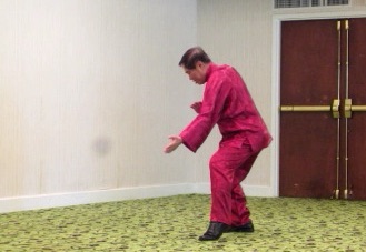 Yang Style Tai Chi Chuan, Taijiquan