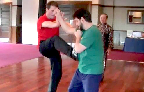 Yang Style Taijiquan