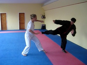 chen style taijiquan