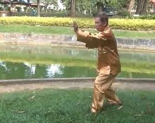 Xingyiquan 12 Animal-Form Continuous Fist