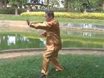 Xingyiquan 12 Animal-Form Continuous Fist