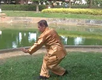 Xingyiquan 12 Animal-Form Continuous Fist