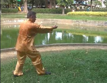 Xingyiquan 12 Animal-Form Continuous Fist