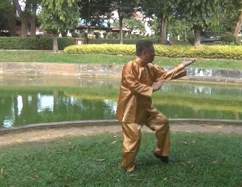 Xingyiquan 12 Animal-Form Continuous Fist