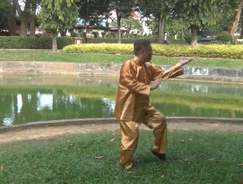 Xingyiquan 12 Animal-Form Continuous Fist