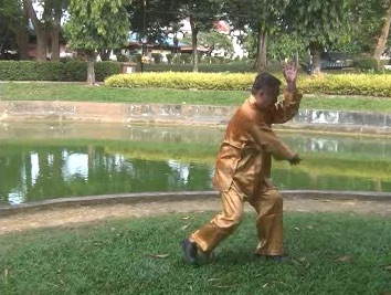 Xingyiquan 12 Animal-Form Continuous Fist