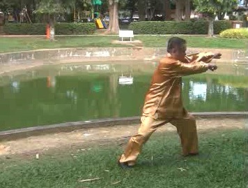 Xingyiquan 12 Animal-Form Continuous Fist