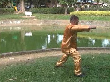 Xingyiquan 12 Animal-Form Continuous Fist