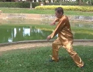 Xingyiquan 12 Animal-Form Continuous Fist