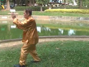 Xingyiquan 12 Animal-Form Continuous Fist