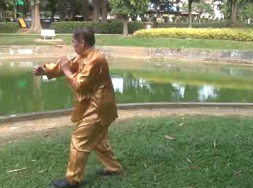 Xingyiquan 12 Animal-Form Continuous Fist