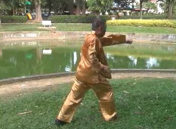 Xingyiquan 12 Animal-Form Continuous Fist