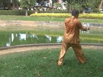 Xingyiquan 12 Animal-Form Continuous Fist