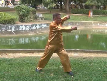 Xingyiquan 12 Animal-Form Continuous Fist