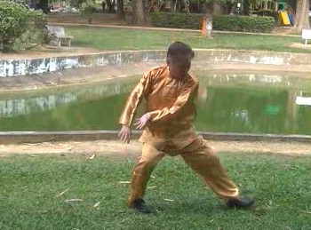 Xingyiquan 12 Animal-Form Continuous Fist