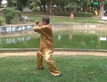 Xingyiquan 12 Animal-Form Continuous Fist