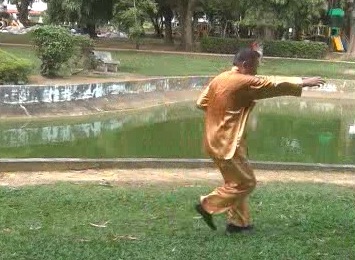 Xingyiquan 12 Animal-Form Continuous Fist