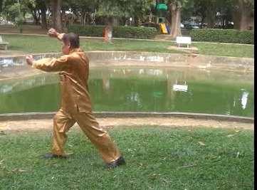 Xingyiquan 12 Animal-Form Continuous Fist