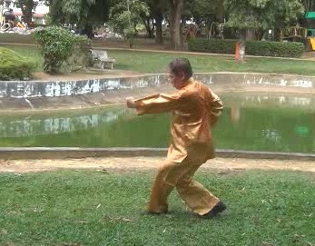 Xingyiquan 12 Animal-Form Continuous Fist