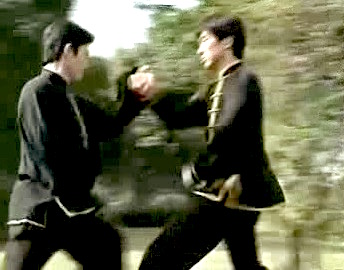 Xingyiquan, Hsing Yi Kungfu