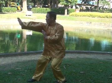 Xingyiquan Five Elemental Fists