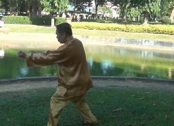 Xingyiquan Five Elemental Fists