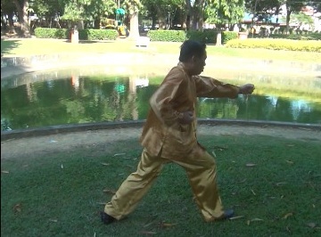 Xingyiquan Five Elemental Fists